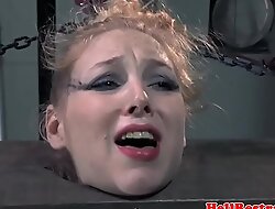 Teat clamped sub cum-hole toyed by maledom
